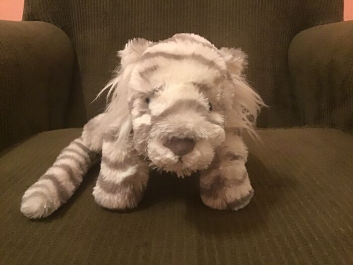 Moon,..... He’s So A Cat