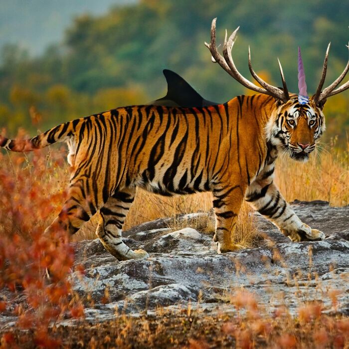 I Got Photoshop Just For This Purpose, I Know It’s Bad But That’s Because I Started Using It Like 10 Minutes Ago