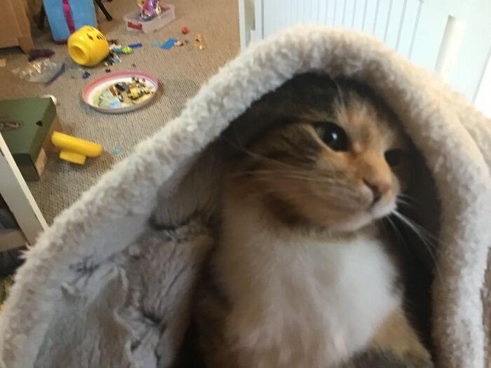 Cleopatra In My Little Sisters Room!