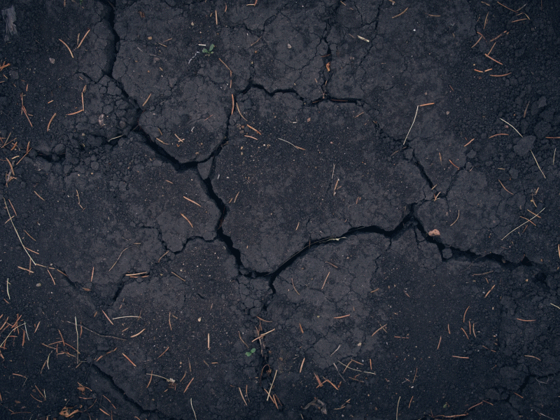 My Forest Animations My Forest Animations