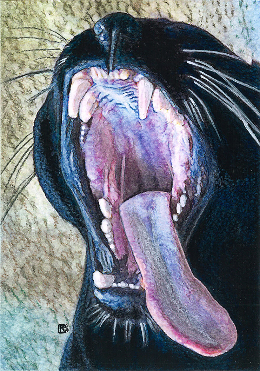 Four Of My Recent Cat Paintings:)