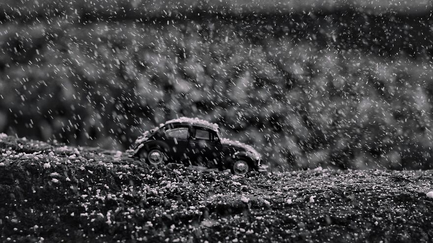 Through The Snow Strom