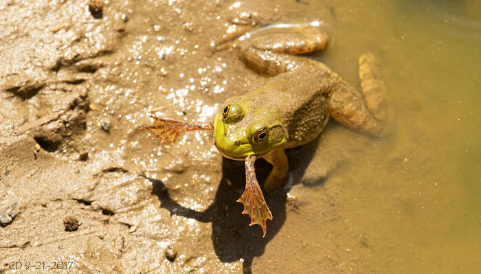 Not A Good Day For Someone