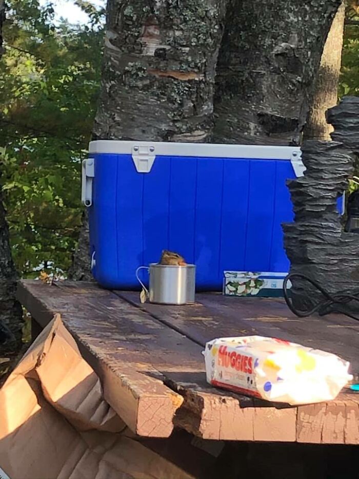 There Is An Interloper In My Snack Cup