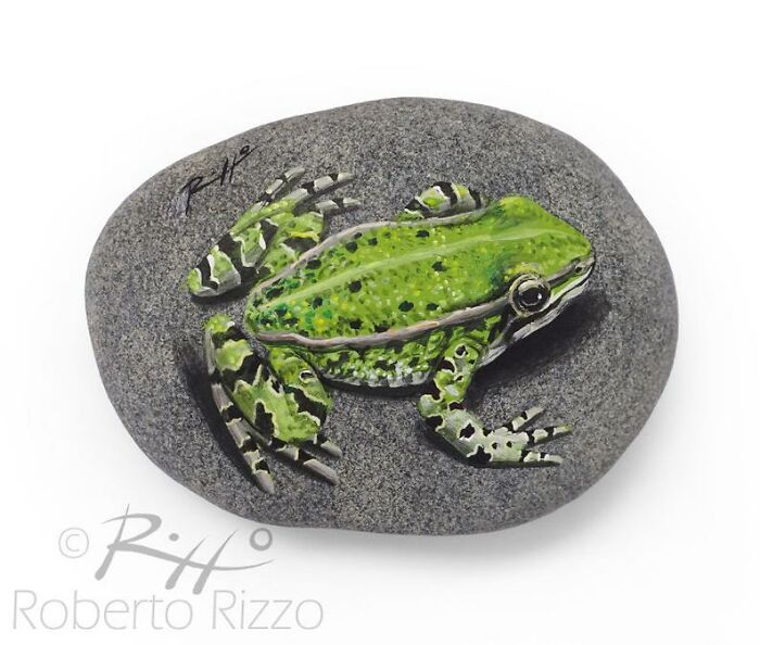 Hand-Painted-Rocks-Stone-Art-Animals-Robertorizzoart