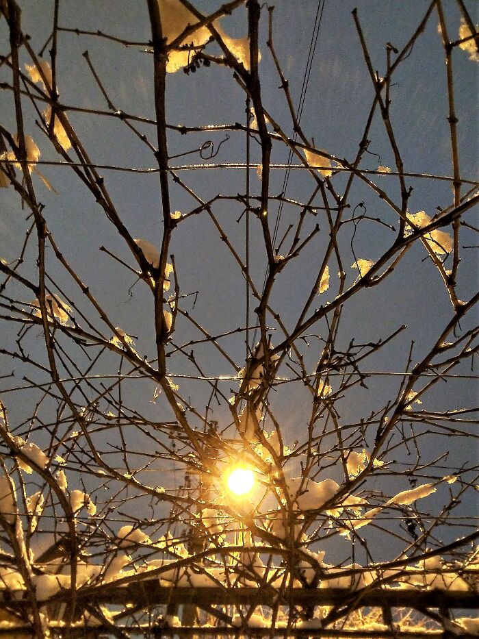 "Electric Sun" The Days Are Still Short. And There Is Not Enough Warmth. Only The Electric Sun Illuminates My Way