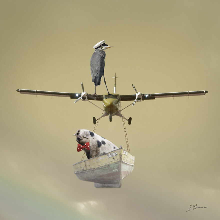 Hanks Marriage Proposal