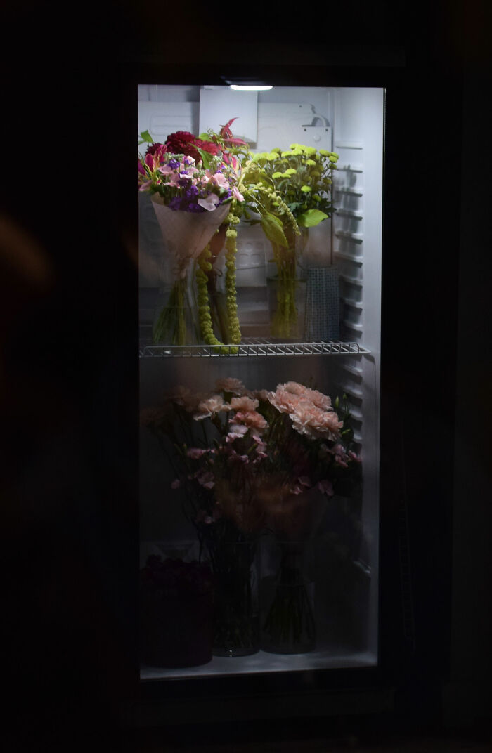 Best Shot That I Found