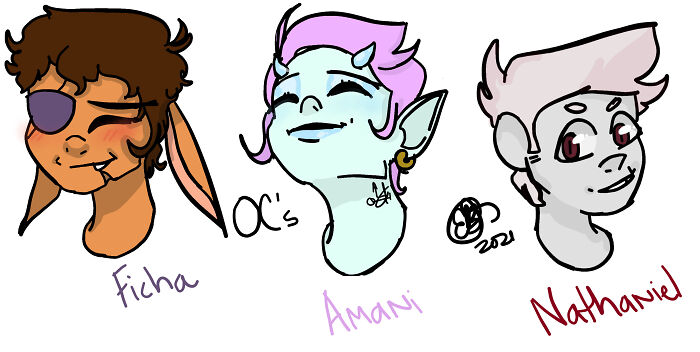 My Fantasy Oc's!