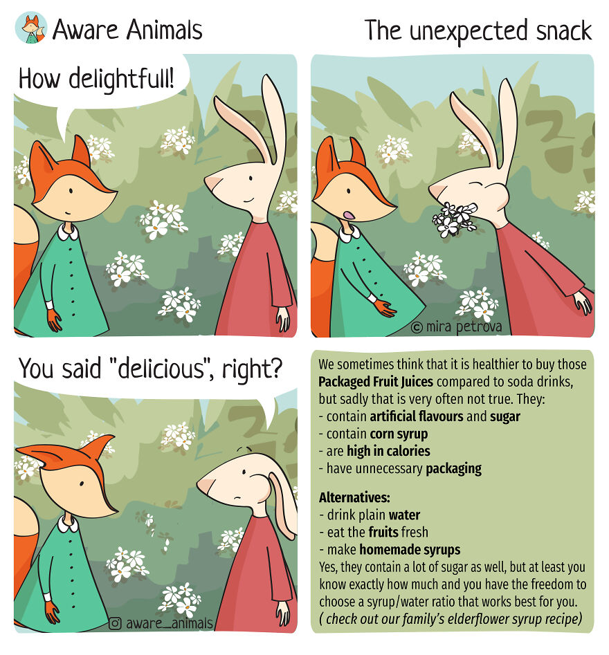 The Unexpected Snack