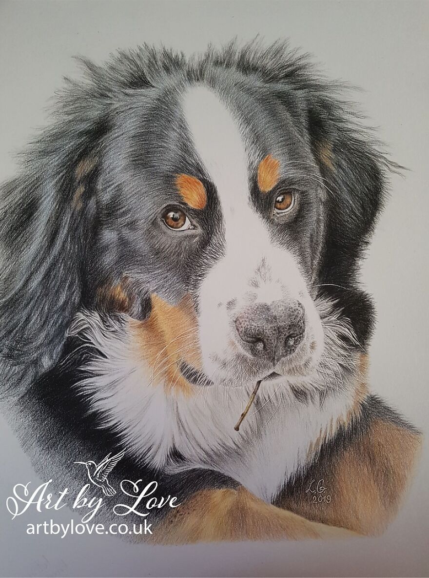 I Am Doing A Portrait To Help Raise Money For A Family Who Lost Their Home Because Of The Earthquake I Am Doing A Portrait To Help Raise Money For A Family Who Lost Their Home Because Of The Earthquake