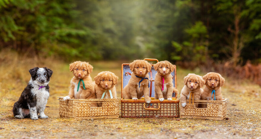 One Of These Things Just Doesn't Belong