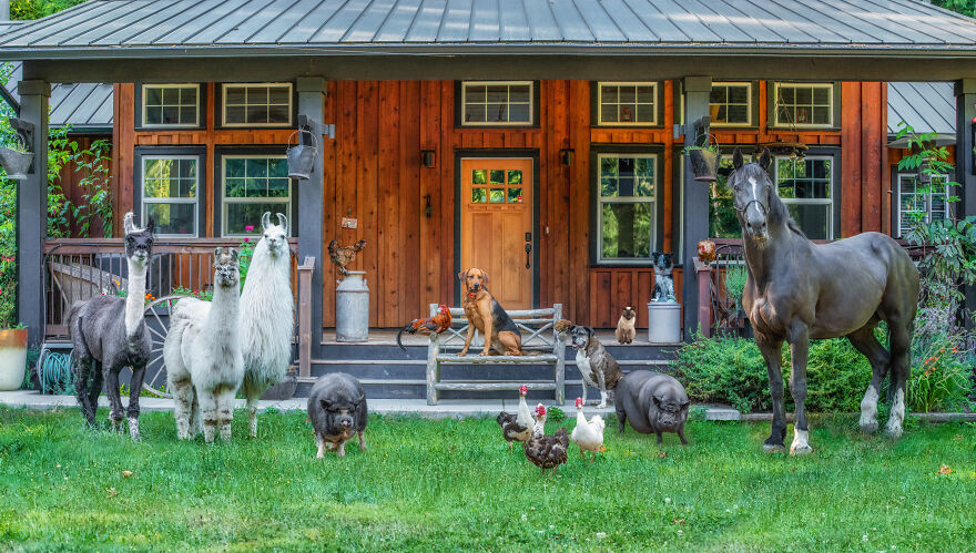 Vancouver Island, Bc Farm Tour