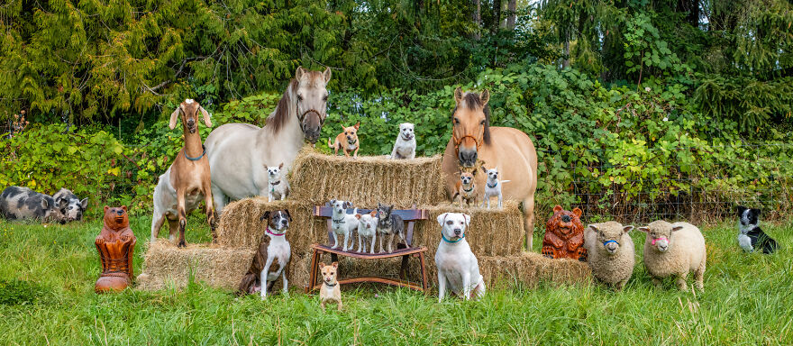 Pixel Doing What She Does Best