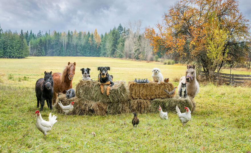 Fall In Beautiful British Columbia