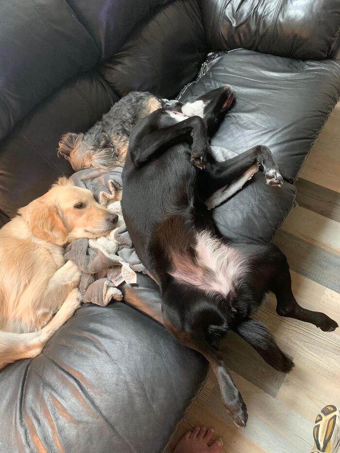 Don't Fall Off The Couch!