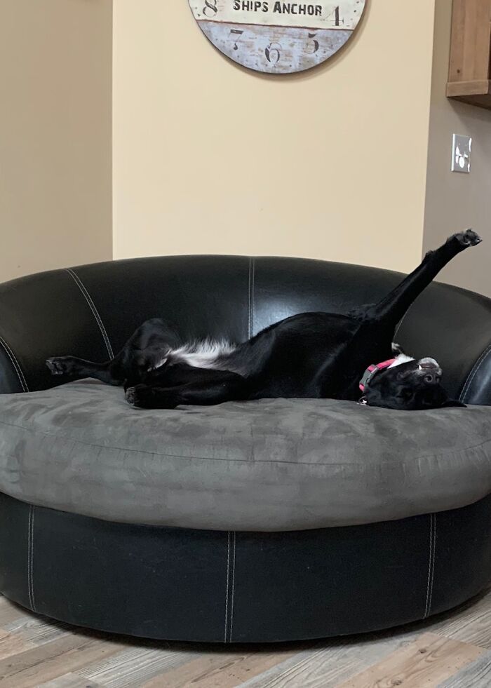 Queen Of The Round Chair