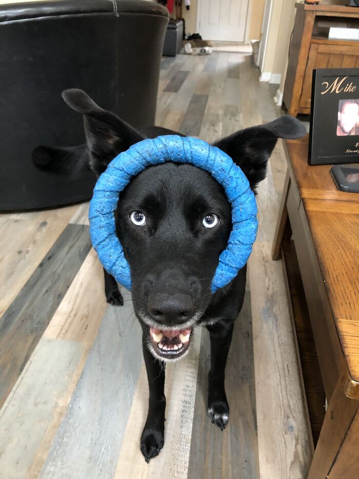 Keesha Wants To Play...