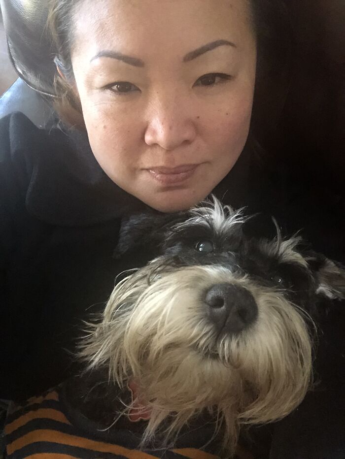 Nic Our Rescue Schnauzer And I Lazing On The Couch! Life Is Good