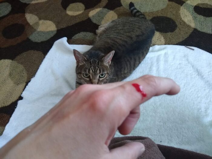 I Love You....but...this Nail Cutting Thing...