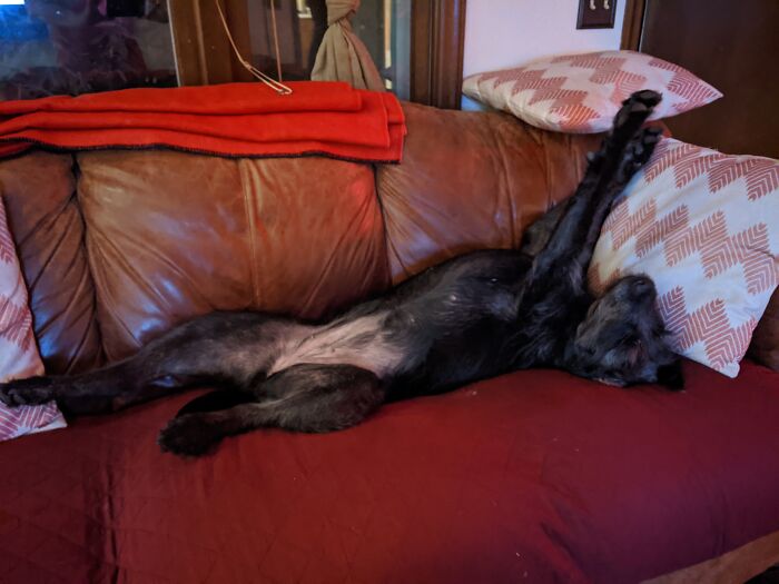 She Really Likes To Stretch Out!