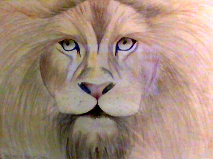 Gotta Say This Is One Of My Best... "He's Not A Tame Lion"