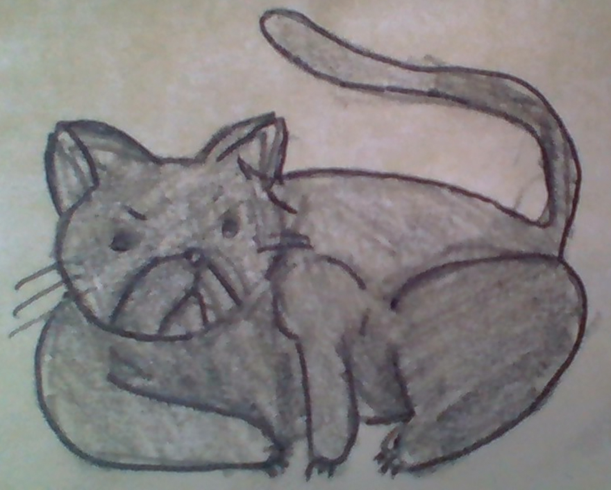 Not Very Good- Only Spent Like 5 Minutes On It But Here You Go