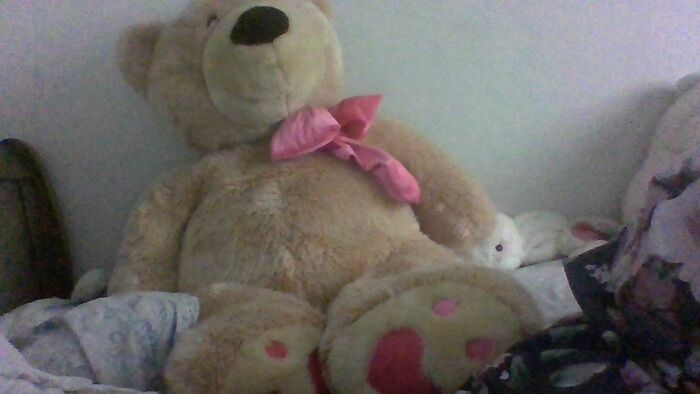 I Call This Bear Harrison Lol