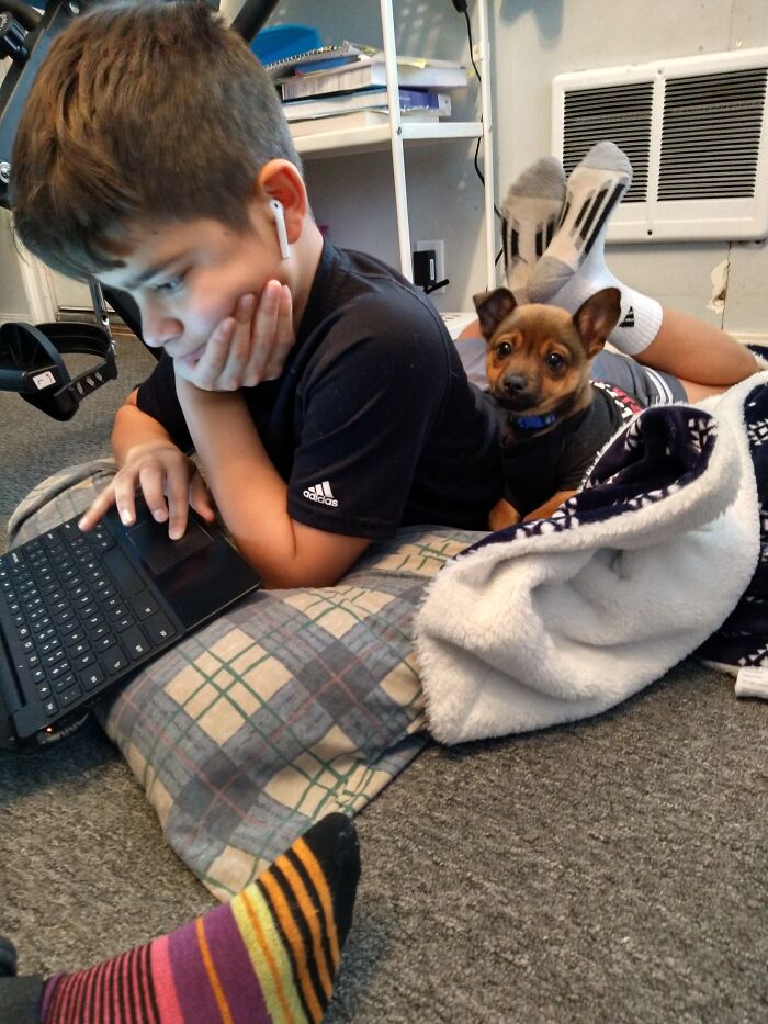 Not Me But My Nephew Alex Comes Over To Do His School A Couple Days A Week And Our Dog Boomer Never Leaves His Side