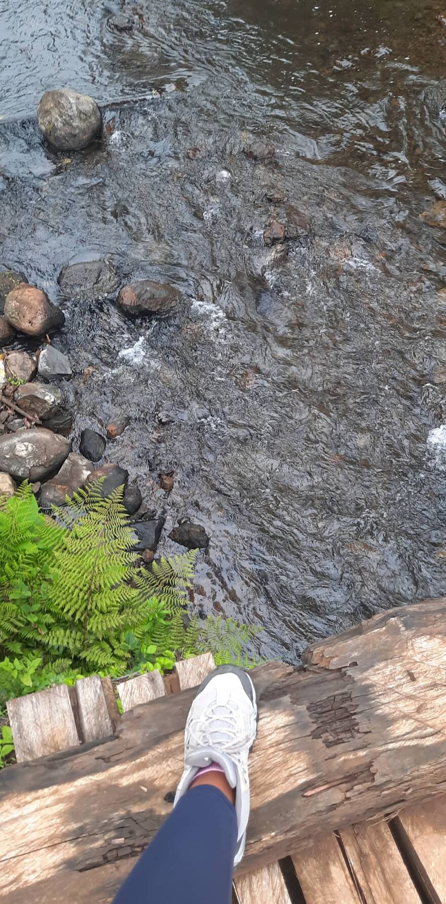 Castle Forest Lodge, Mt Kenya Castle Forest Lodge, Mt Kenya