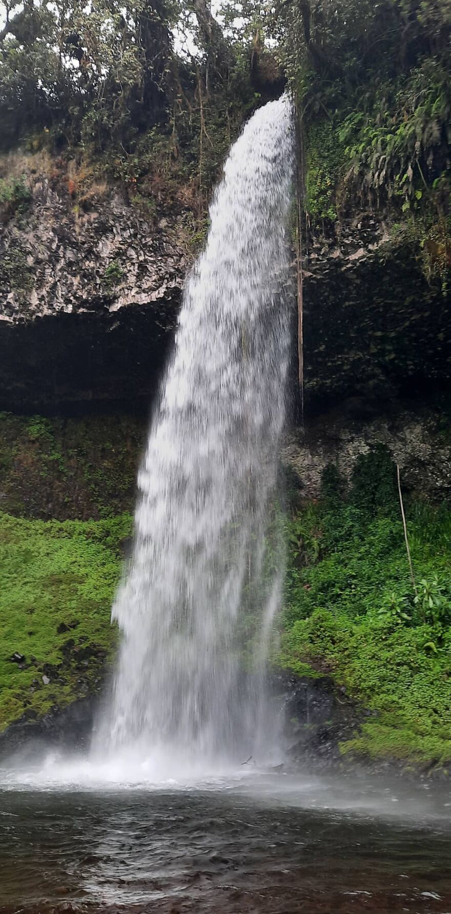 Castle Forest Lodge, Mt Kenya