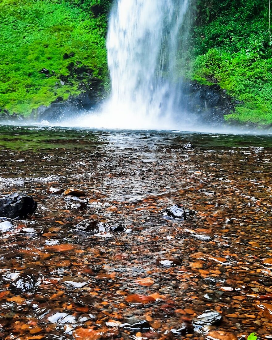 Castle Forest Lodge, Mt Kenya Castle Forest Lodge, Mt Kenya