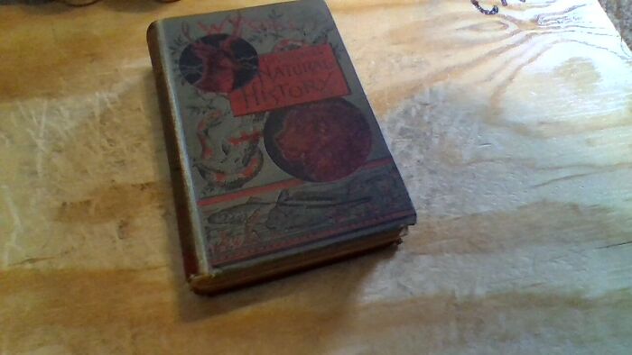 My "Woods Illustrated Natural History" Copyright 1886 By J. L. Blamire. It Was In My Grandma's House And I Thought It Looked Really Cool And She Gave It To Me