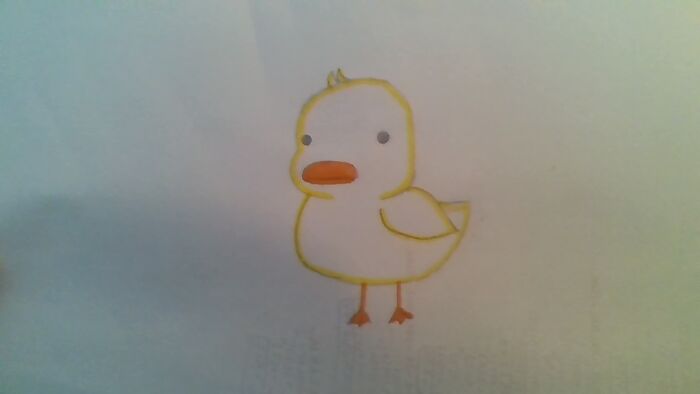 This Is Shannon The Duck