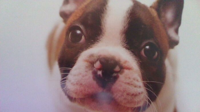 You Can Do This One To!