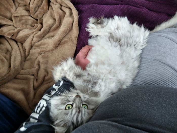 Not Really A Weird Post, This Is Pre Attack