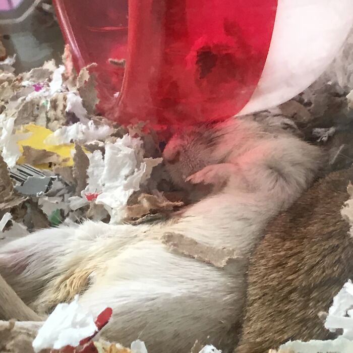 What Is Even Happening Here