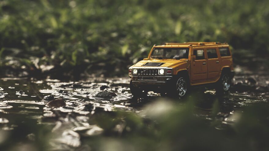 Beast Is Moving Through The Woods