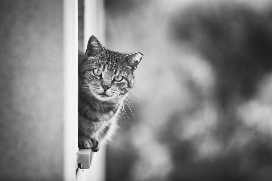 "Hi There! So Nice To See You!"