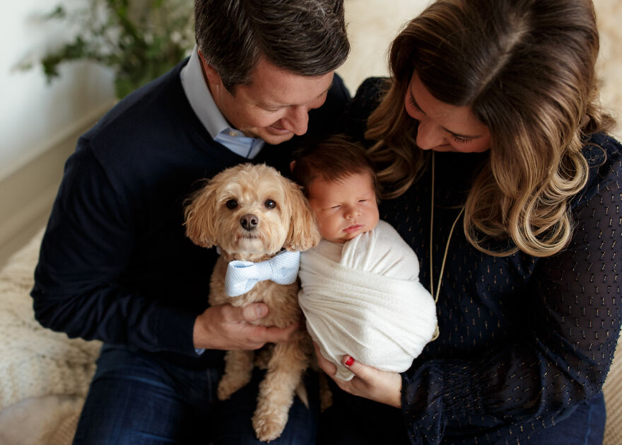 I Took Pictures Of A Family With Their Newborn Baby And Dogs (10 Pics)