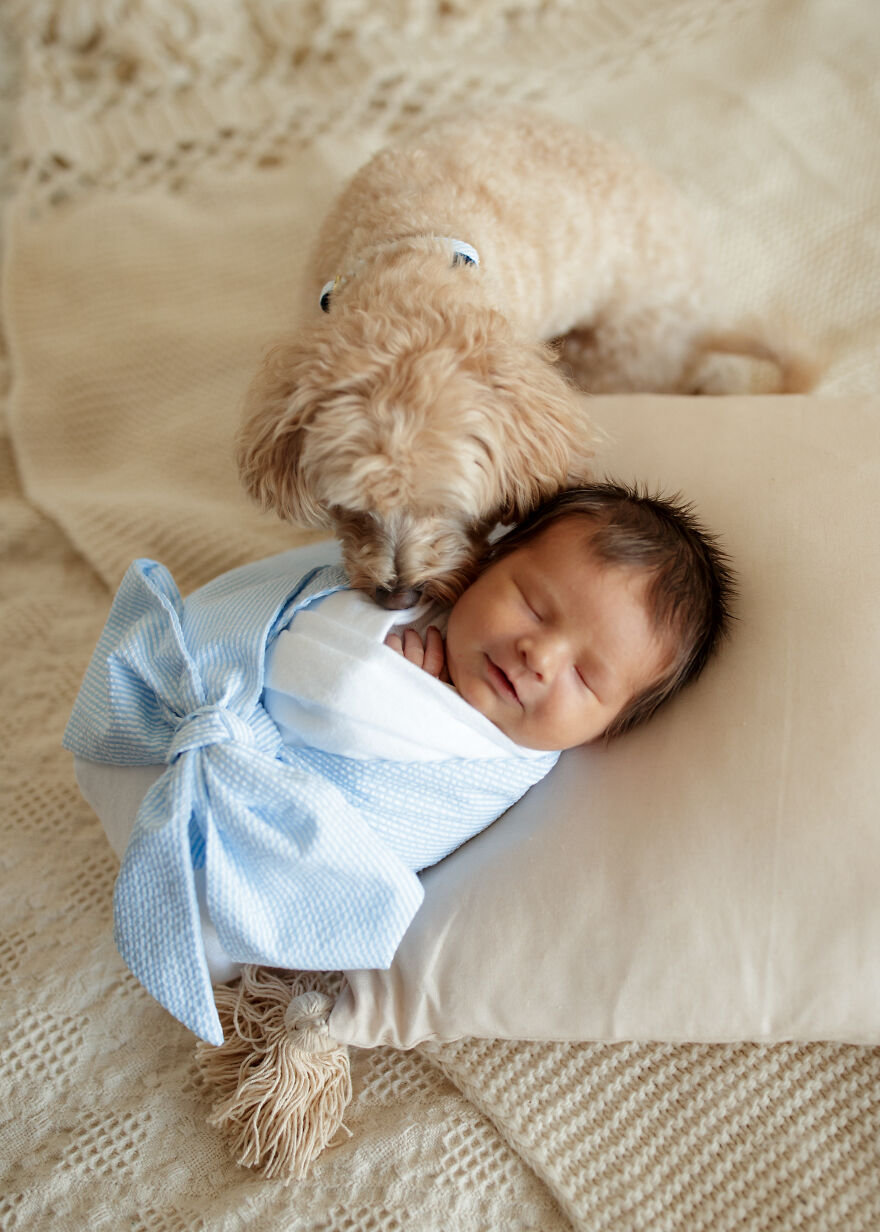 I Took Pictures Of A Family With Their Newborn Baby And Dogs (10 Pics)