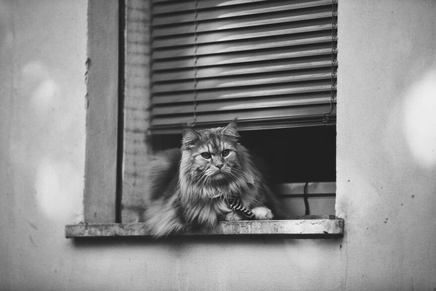 Ready For Cocktail Hour