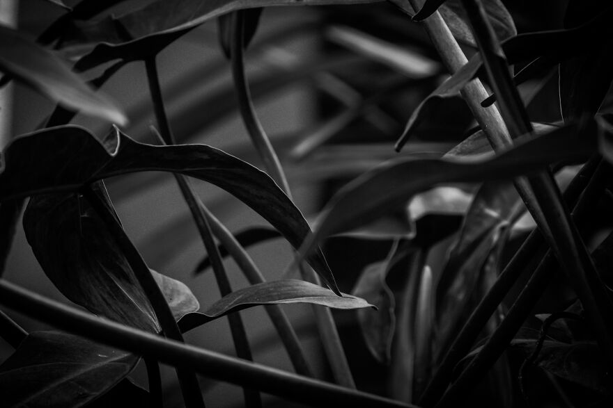 I Joined A Miniature Photographer In His Adventure