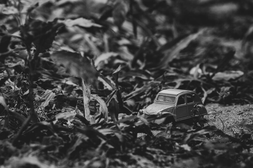 I Joined A Miniature Photographer In His Adventure