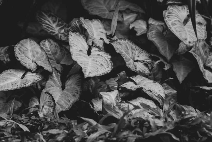 I Joined A Miniature Photographer In His Adventure