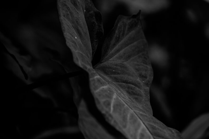 I Joined A Miniature Photographer In His Adventure