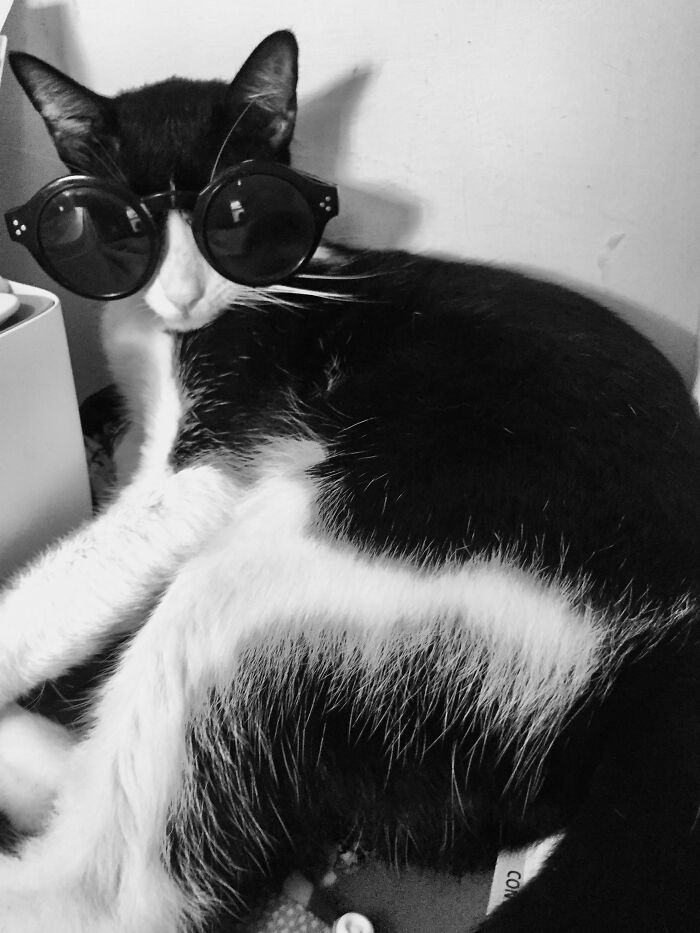 "I Vant To Be Alone"