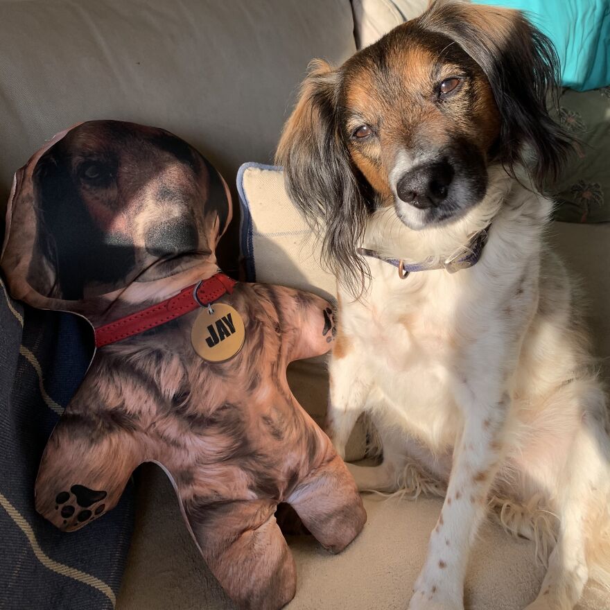 Jay Was Unsure As To Who Was Top Dog Any More