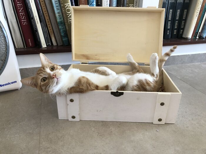 Finally, A Bit Of Rest!