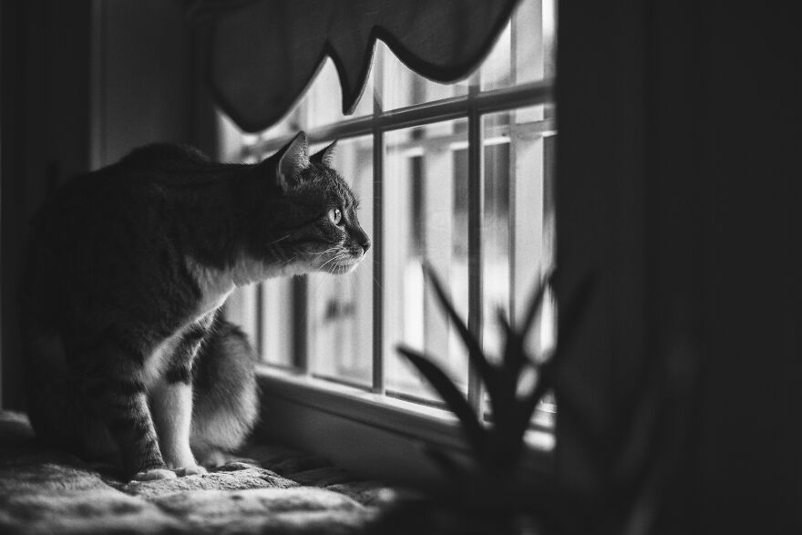 My Sissi: Birdwatching